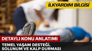 İnsan Vücudu