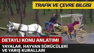Çocuk, Engelli, Hasta ve Sakat Taşıtları, Engelli Yayalar, Yürüyüş Kolları